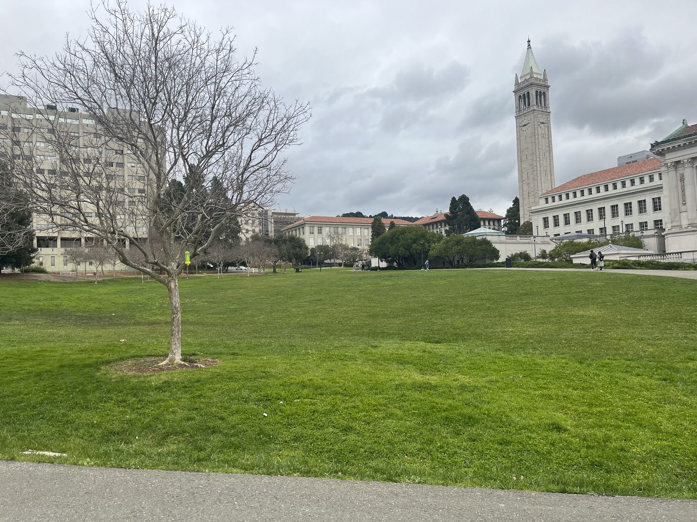 Memorial Glade and the Campanile at Berkeley